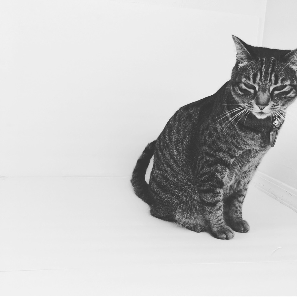 Meet your Posher, Gary